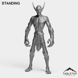 Tabletop Terrain Miniature Standing Darkness Nightfallen Rebel