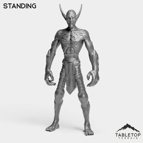 Tabletop Terrain Miniature Standing Darkness Nightfallen Rebel
