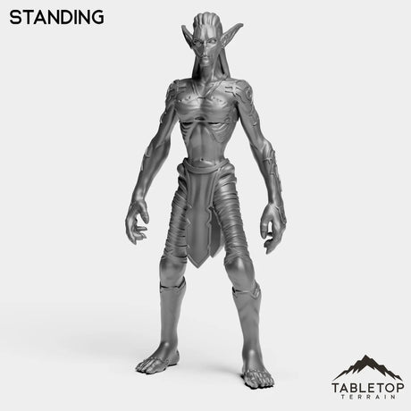 Tabletop Terrain Miniature Standing Darkness Nightfallen Rebel Female