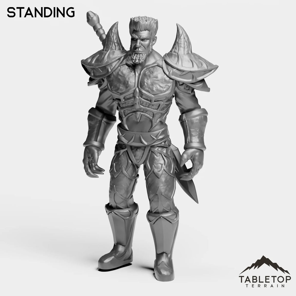 Tabletop Terrain Miniature Standing Military Instructor