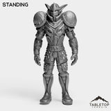 Tabletop Terrain Miniature Standing Night Rogue Tier 1