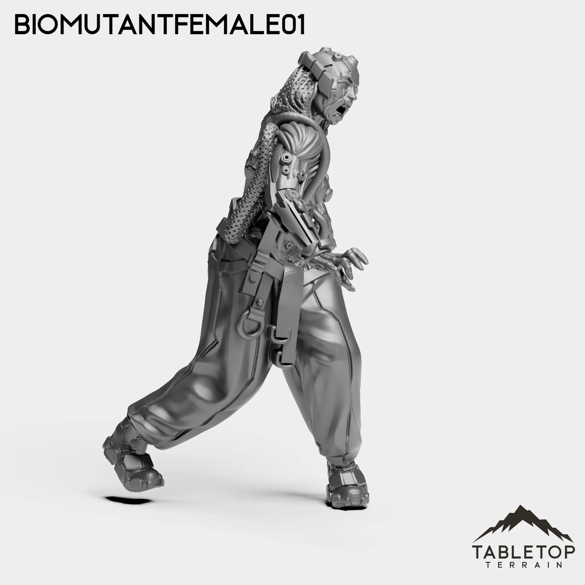 Tabletop Terrain Miniature SubjectONE-F - MISC