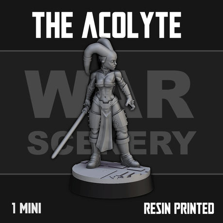 Tabletop Terrain Miniature The Dark Acolyte