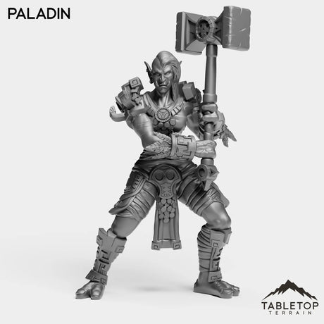 Tabletop Terrain Miniature Troll Heritage Paladin Female