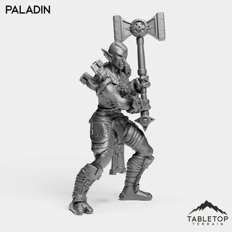 Tabletop Terrain Miniature Troll Heritage Paladin Female