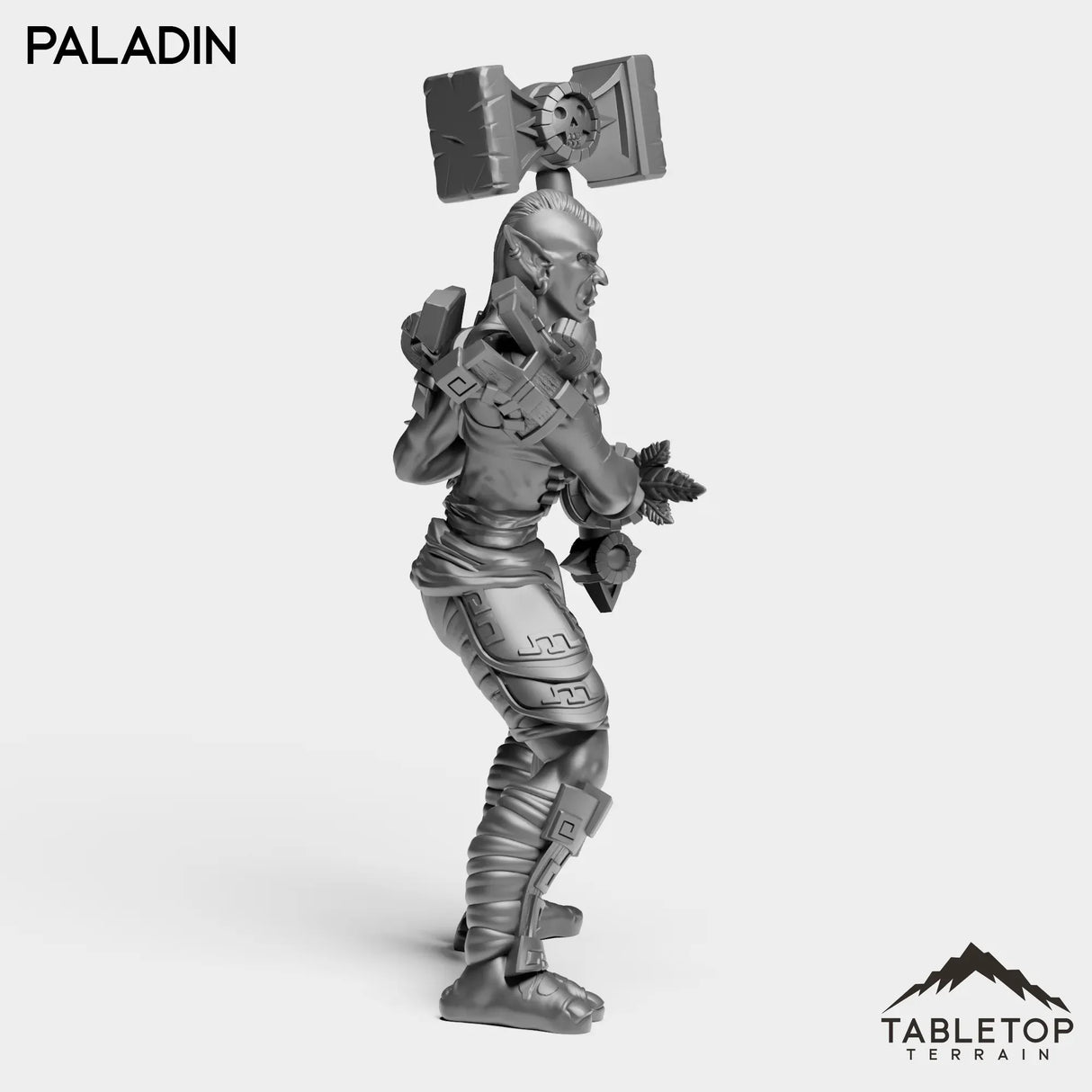 Tabletop Terrain Miniature Troll Heritage Paladin Female