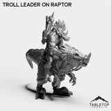 Tabletop Terrain Miniature Troll Leader on Raptor