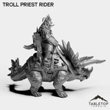 Tabletop Terrain Miniature Troll Priest Rider
