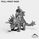 Tabletop Terrain Miniature Troll Priest Rider