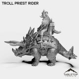 Tabletop Terrain Miniature Troll Priest Rider
