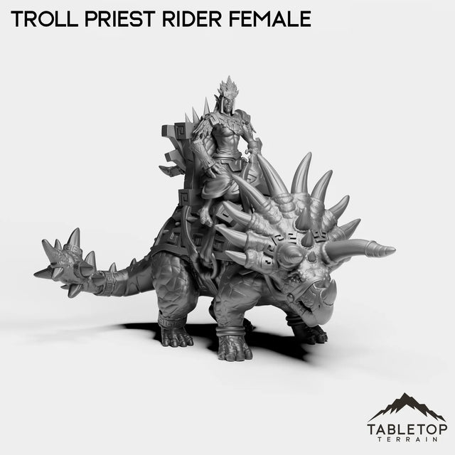 Tabletop Terrain Miniature Troll Priest Rider Female