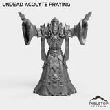 Tabletop Terrain Miniature Undead Acolyte Praying Undead Acolytes