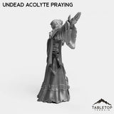 Tabletop Terrain Miniature Undead Acolytes