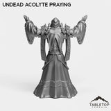 Tabletop Terrain Miniature Undead Acolytes