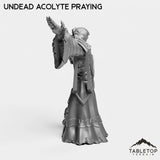 Tabletop Terrain Miniature Undead Acolytes
