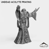 Tabletop Terrain Miniature Undead Acolytes