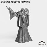 Tabletop Terrain Miniature Undead Acolytes