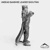 Tabletop Terrain Miniature Undead Banshee Leader