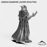 Tabletop Terrain Miniature Undead Banshee Leader