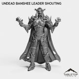 Tabletop Terrain Miniature Undead Banshee Leader Shouting Undead Banshee Leader