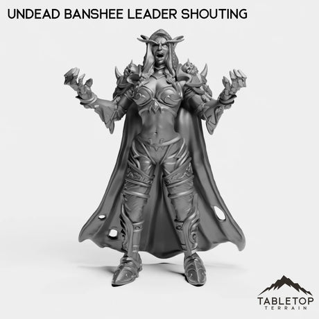 Tabletop Terrain Miniature Undead Banshee Leader Shouting Undead Banshee Leader