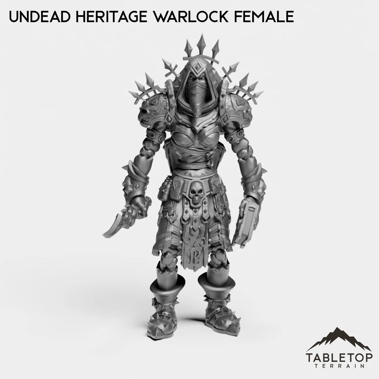 Tabletop Terrain Miniature Undead Heritage Warlock Female Undead Heritage Warlock Female