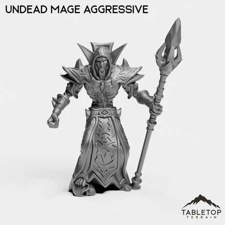 Tabletop Terrain Miniature Undead Mage Aggressive Undead Basic Mage