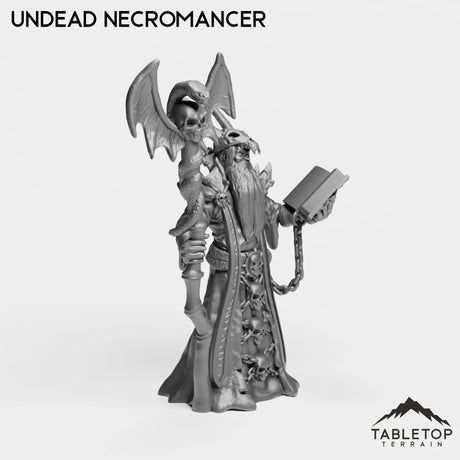 Tabletop Terrain Miniature Undead Necromancer