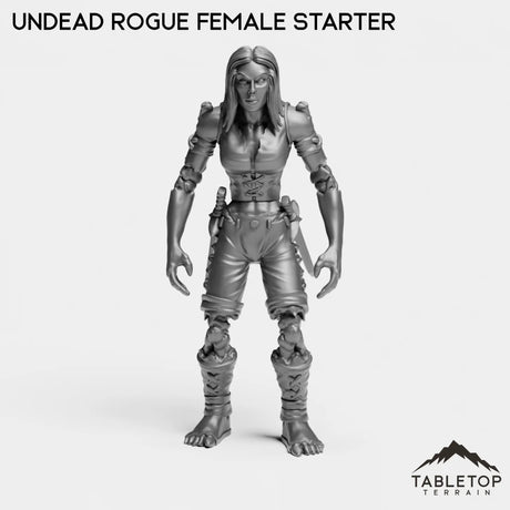 Tabletop Terrain Miniature Undead Rogue Female Starter Undead Starters Female