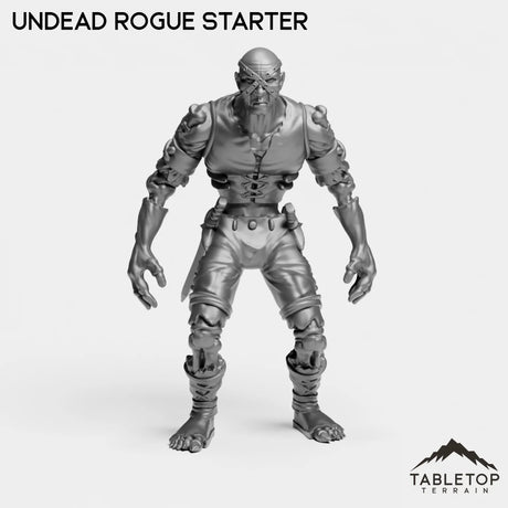 Tabletop Terrain Miniature Undead Rogue Starter Undead Starters