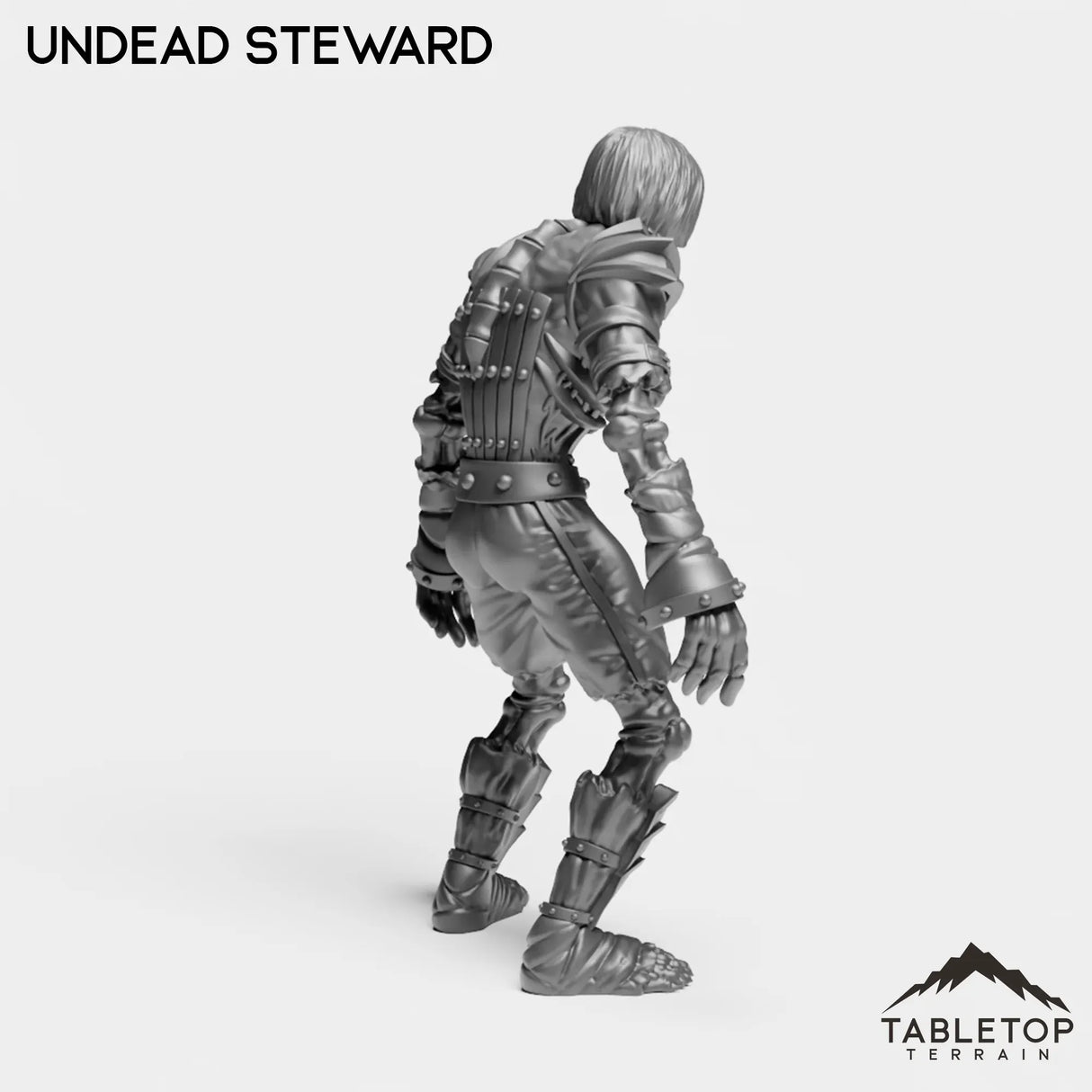 Tabletop Terrain Miniature Undead Steward