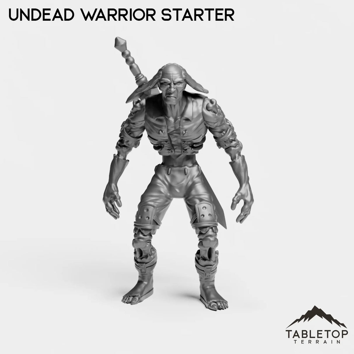 Tabletop Terrain Miniature Undead Warrior Starter Undead Starters