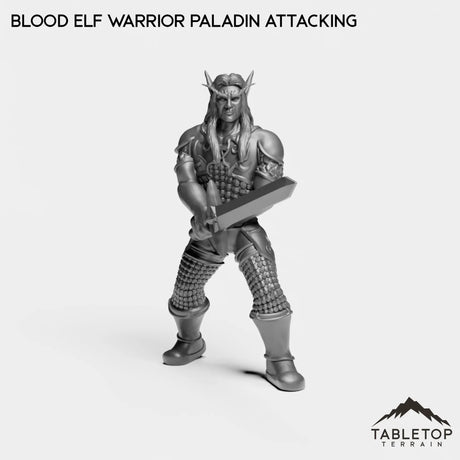 Tabletop Terrain Miniature Warrior Paladin Attacking Blood Elf Starters