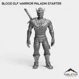 Tabletop Terrain Miniature Warrior Paladin Blood Elf Starters