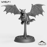 Tabletop Terrain Miniature Whelp 1 Many Whelps