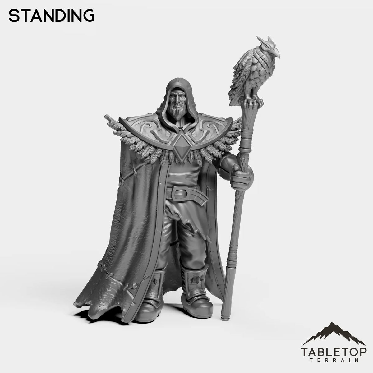 Tabletop Terrain Miniature Wizard Medgar