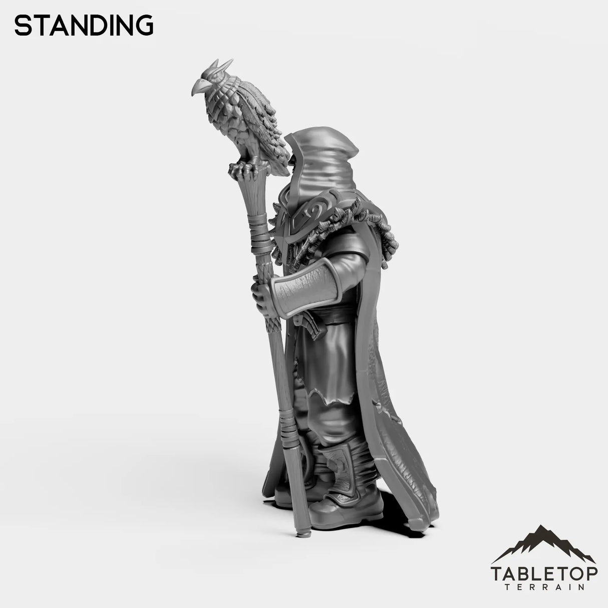 Tabletop Terrain Miniature Wizard Medgar