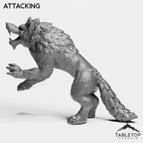 Tabletop Terrain Miniature Wolves