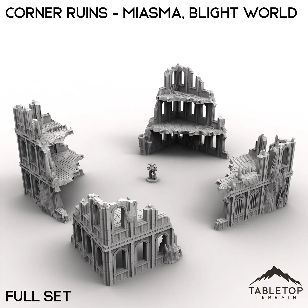 Tabletop Terrain Ruins 28/32mm / Full Set Corner Ruins - Miasma, Blight World