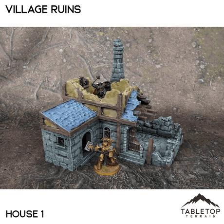 Tabletop Terrain Ruins 32mm / House 1 Village Ruins