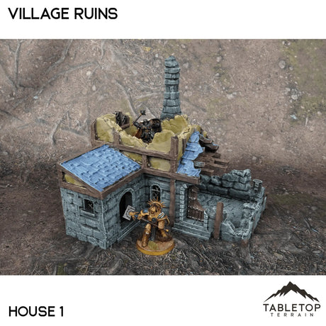 Tabletop Terrain Ruins 32mm / House 1 Village Ruins