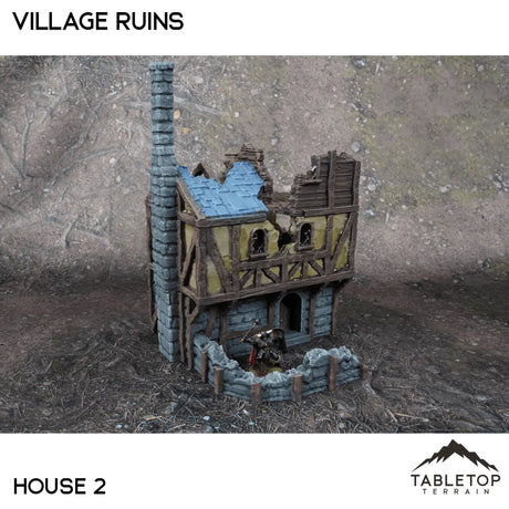 Tabletop Terrain Ruins 32mm / House 2 Village Ruins