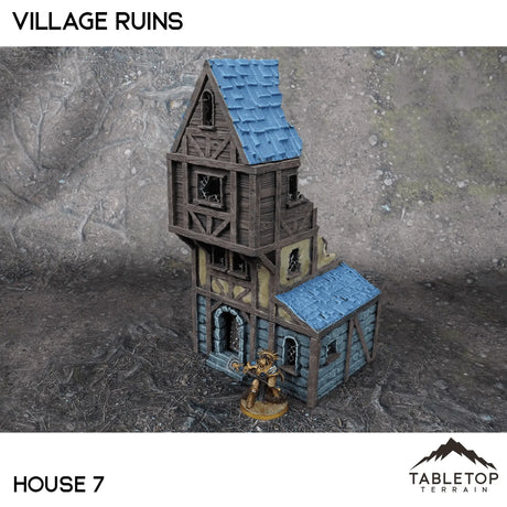 Tabletop Terrain Ruins 32mm / House 7 Village Ruins
