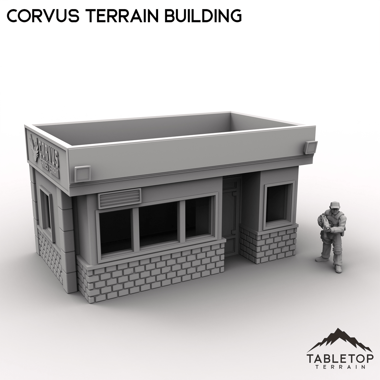 Tabletop Terrain Ruins Corvus Terrain Building