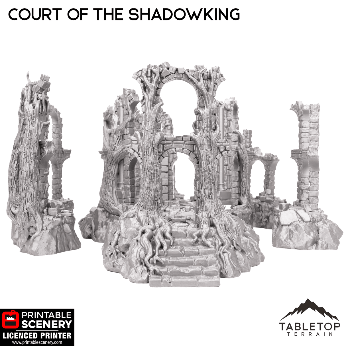 Tabletop Terrain Ruins Court of the Shadow King - Fantasy Terrain