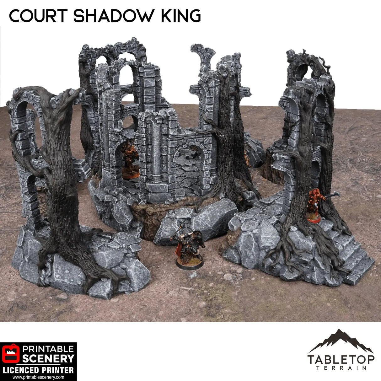 Tabletop Terrain Ruins Court of the Shadow King - Fantasy Terrain