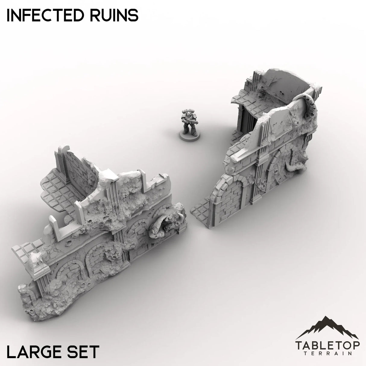 Tabletop Terrain Ruins Infected Ruins
