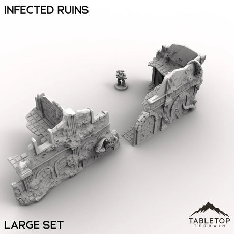 Tabletop Terrain Ruins Infected Ruins