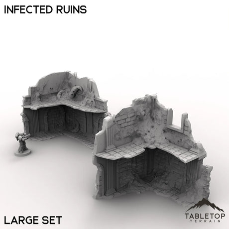 Tabletop Terrain Ruins Infected Ruins