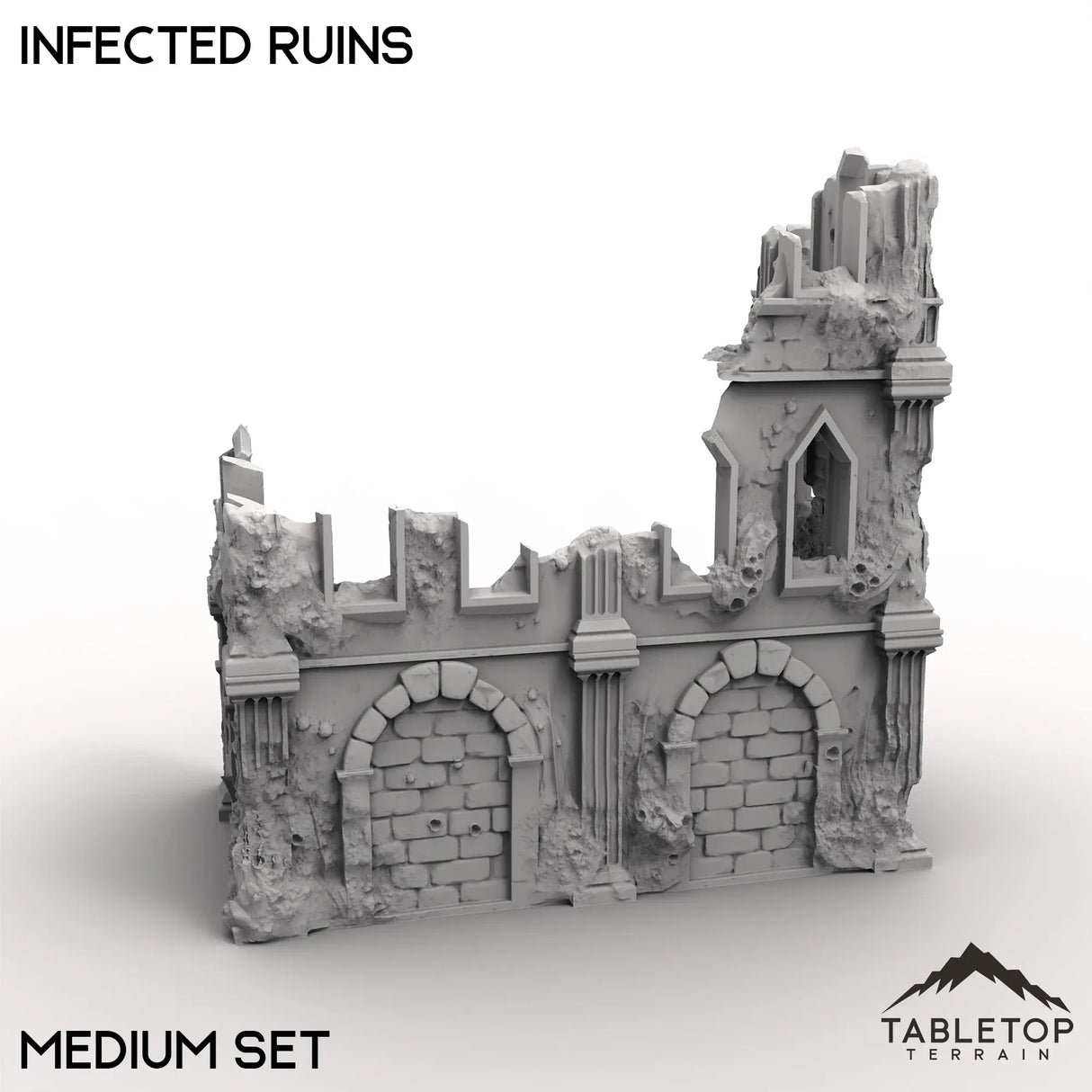 Tabletop Terrain Ruins Infected Ruins